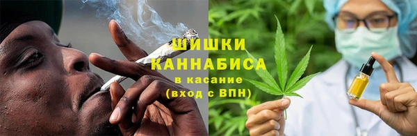 2c-b Гусев