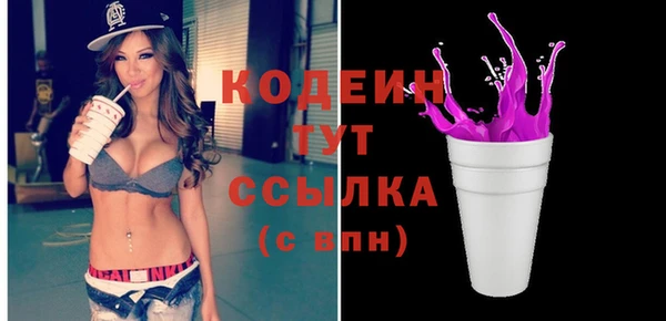 гашик Горнозаводск