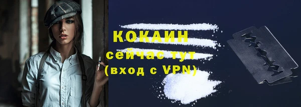 гашик Горнозаводск