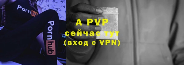 2c-b Гусев