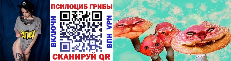 Галлюциногенные грибы мицелий  Купить закладки  Мурино 