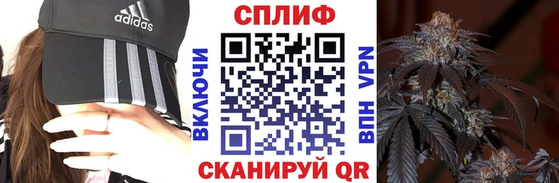 Купить закладки Мурино МАРИХУАНА конопля